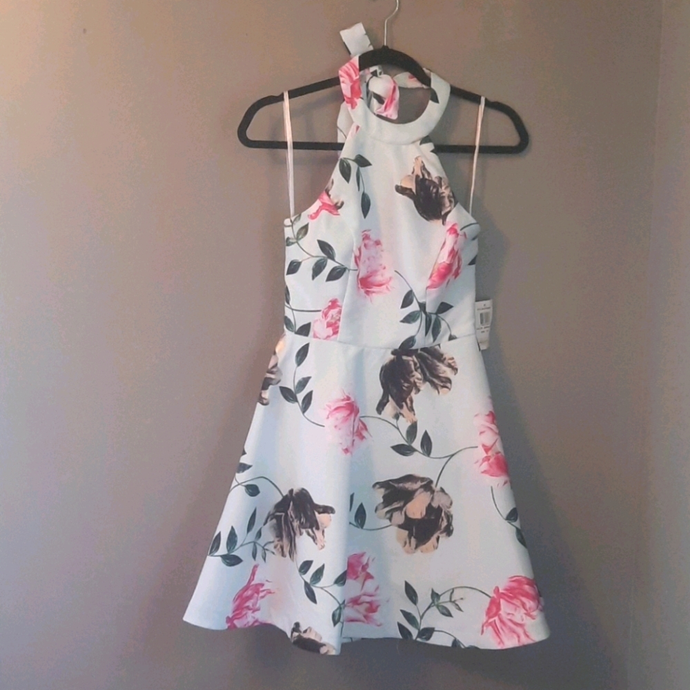 Womens/ Juniors Spring Dress